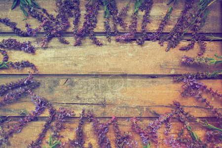 Téléchargez les photos : Fleurs de lavande et de sauge sur une table en bois close-up. Planches horizontales en vieux bois foncé avec des fleurs violettes et bleues et des feuilles tout autour. Nature morte et gisement plat. Espace libre pour le texte. Espace de copie - en image libre de droit