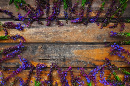 Téléchargez les photos : Fleurs de lavande et de sauge sur une table en bois close-up. Planches horizontales en vieux bois foncé avec des fleurs violettes et bleues et des feuilles tout autour. Nature morte et gisement plat. Espace libre pour le texte. Espace de copie - en image libre de droit