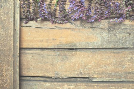 Téléchargez les photos : Fleurs de lavande et de sauge sur une table en bois close-up. Planches horizontales en vieux bois foncé avec des fleurs violettes et bleues et des feuilles sur les bords. Nature morte et gisement plat. Espace de copie gratuit pour le texte. - en image libre de droit