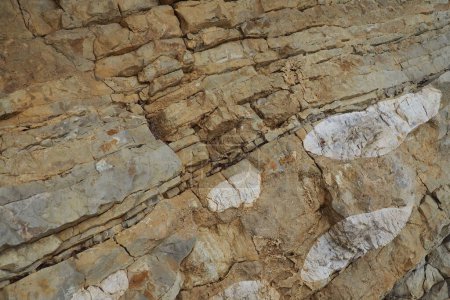 Téléchargez les photos : Flysch est une série de roches sédimentaires marines qui sont principalement d'origine clastique et se caractérisent par l'alternance de plusieurs couches lithologiques. Balkans Monténégro Herceg Novi Meljine - en image libre de droit