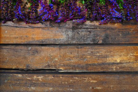 Téléchargez les photos : Fleurs de lavande et de sauge sur une table en bois close-up. Planches horizontales en vieux bois foncé avec des fleurs violettes et bleues et des feuilles sur les bords. Nature morte et gisement plat. Espace de copie gratuit pour le texte. - en image libre de droit