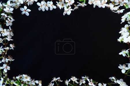 Téléchargez les photos : Cadre en fleurs blanches sur fond noir. Composition florale vue de dessus. Aménagement plat. Fond de printemps concept fond décorer par fleur de bourgeon de cerisier oiseau. Carte postale avec espace de copie - en image libre de droit
