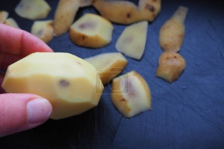 Pilz-, virale oder bakterielle Infektion der Kartoffelknolle. Dunkle Flecken in der Kartoffel. Geschälte rohe Kartoffel mit Flecken und einem Loch in einer Frauenhand. Lebensmittelsicherheit. Die Gefahr von landwirtschaftlichen Naturprodukten