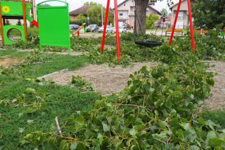 Photo for Aftermath of the hurricane July 19, 2023 Sremska Mitrovica, Serbia. Broken trees, mess on the streets. Broken branches, bent trunks. Playground. State of emergency after a catastrophic storm - Royalty Free Image