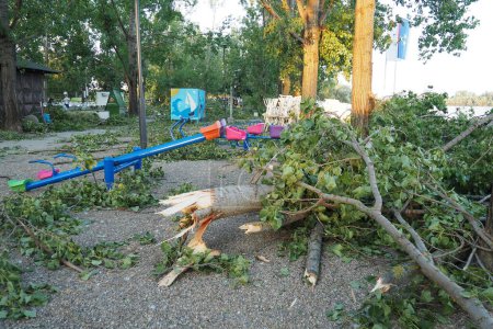 Photo for Aftermath of the hurricane July 19, 2023 beach Sremska Mitrovica, Serbia. Broken trees, mess on the streets. Broken branches, bent trunk. Playground. State of emergency after a catastrophic storm - Royalty Free Image