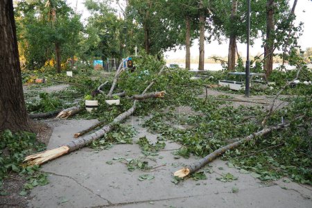Photo for Aftermath of the hurricane July 19, 2023 beach Sremska Mitrovica, Serbia. Broken trees, mess on the streets. Broken branches, bent trunk. Chips and trash. State of emergency after a catastrophic storm - Royalty Free Image