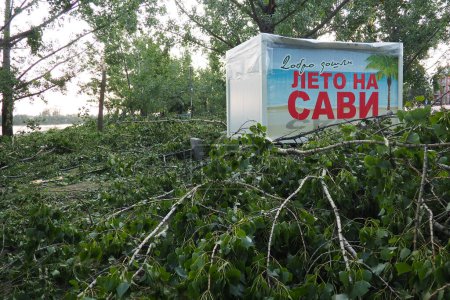 Photo for Aftermath of the hurricane July 19, 2023 beach Sremska Mitrovica, Serbia. Broken trees, mess on the street. Broken branches, bent trunks. Chips and trash. State of emergency after a catastrophic storm - Royalty Free Image
