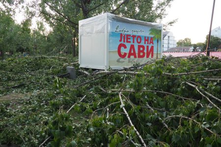 Photo for Aftermath of the hurricane July 19, 2023 beach Sremska Mitrovica, Serbia. Broken trees, mess on the street. Broken branches, bent trunks. Chips and trash. State of emergency after a catastrophic storm - Royalty Free Image