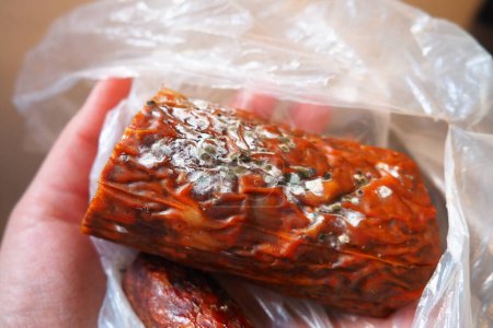 Photo for Raw smoked sausage became moldy while it was in a plastic bag. A mold or mould. The dust-like, colored appearance of molds is due to the formation of spores containing fungal secondary metabolites - Royalty Free Image