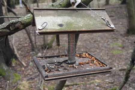 Pendaison maison mangeoire ou plate-forme pour nourrir les oiseaux et les écureuils en hiver et au printemps pendant les périodes de faim. Mangeoires pour oiseaux et écureuils dans une forêt ou un parc municipal