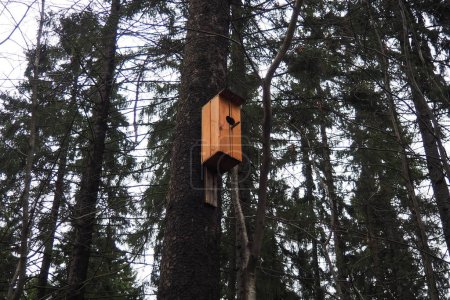 A birdhouse is a closed artificial nesting site for small birds, mainly nesting in hollows. Such nesting sites for small passerine birds are often made by amateurs and are located in urban areas.