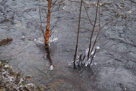 Frühlingshochwasser. Rauschendes Wasser im Fluss, Draufsicht. Dunkles eisenhaltiges Wasser rauscht in den Bach. Ein gelb-weißer Schaum. Karelien, Fluss Lososinka im Frühling. Überschwemmungen, Tsunami und Klimawandel. Wasserbewegung
