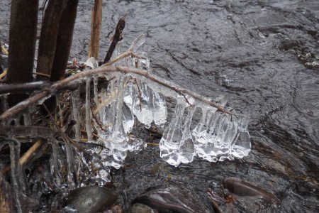 Eis ist Wasser in einem festen Aggregatzustand. Eiszapfen und Stalaktiten auf Ästen in Wassernähe. Frühlingshochwasser. Wasser bildet Kristalle einer kristallinen Veränderung - des sechseckigen Systems.