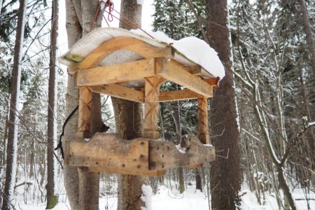 Hanging homemade feeder or platform for feeding birds and squirrels in winter and spring during hungry times. Feeders for birds and squirrels in a forest or city park