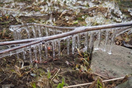 Eis ist Wasser in einem festen Aggregatzustand. Eiszapfen und Stalaktiten auf Ästen in Wassernähe. Frühlingshochwasser. Wasser bildet Kristalle einer kristallinen Veränderung - des sechseckigen Systems.
