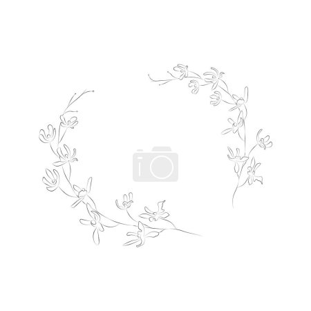 Photo for Herbs and florals, Dividers, Text Frames and Wreaths. Perfect for cards, logo, branding, wedding invitations, personal stationeries, templates, wallpapers, textiles, packaging, accessories paper bags - Royalty Free Image