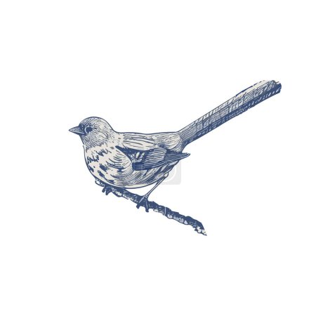 Eine charmante Illustration eines kleinen Sperlings, der auf einem Ast hockt. Netter Vogel Clipart. Die Augen der Vögel sind schwarz und glänzend, und ihr Schnabel ist kurz und kegelförmig. Der Sperling sieht aufmerksam und ruhig aus, sitzt