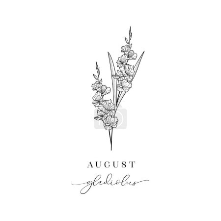 Illustration for Floral Decorative Design Element. Gladiolus, August Birth Flower, Birth Month, Mother s Day, Birth Announcement, Baby Gift, T-shirt design, Print. - Royalty Free Image