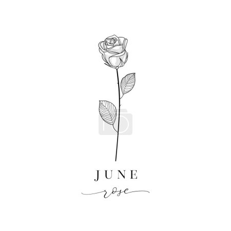 Floral Decorative Design Element. Rose, June Birth Flower, Birth Month, Mother s Day, Birth Announcement, Baby Gift, T-shirt design, Print.