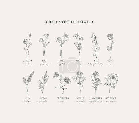 Illustration for Hand drawn Birth Flowers, Birth Month, Mother s Day, Birth Announcement, Baby Gift, T-shirt design, Print. - Royalty Free Image