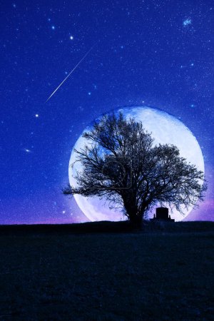 Tombe solitaire avec chêne sous la nuit étoilée et clair de lune.