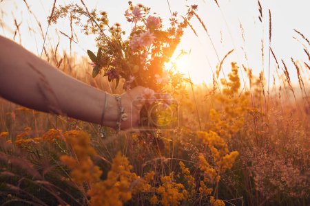 Foto de Mujer recogiendo y sosteniendo flores de campo en la naturaleza. - Imagen libre de derechos