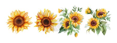 Sunflower watercolor set isolated on white background. Summer yellow blossom flowers collection. Vector illustration.