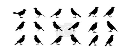 Illustration for Birds silhouettes. Black bird outline shapes isolated on white background. Vector illustration. - Royalty Free Image