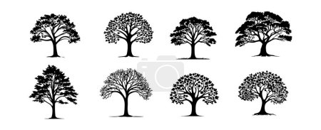 Foto de Grandes árboles elementos de silueta aislados sobre fondo blanco. Árbol del bosque conjunto de ramas. Ilustración vectorial. - Imagen libre de derechos