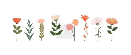 Una colección de coloridas flores de primavera en colores suaves, especies botánicas en estilo de diseño plano, elementos decorativos florales de la naturaleza. Ilustración vectorial.