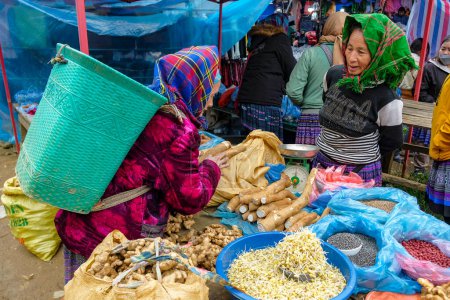 Téléchargez les photos : Can Cau, Vietnam - 17 décembre 2022 : Un vendeur de légumes au marché Can Cau dans la province de Lao Cai, Vietnam. - en image libre de droit
