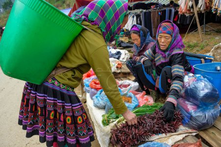 Téléchargez les photos : Can Cau, Vietnam - 17 décembre 2022 : Une femme vend des piments sur le marché de Can Cau dans la province de Lao Cai, Vietnam. - en image libre de droit