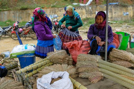 Téléchargez les photos : Can Cau, Vietnam - décembre 17, 2022 : Femmes vendant des balais sur le marché de Can Cau dans la province de Lao Cai, Vietnam. - en image libre de droit