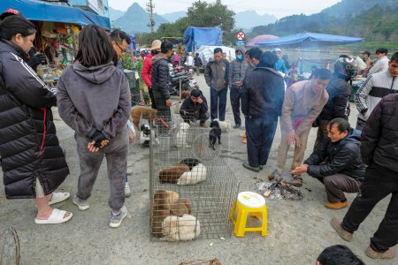 Téléchargez les photos : Bac Ha, Vietnam - 18 décembre 2022 : Un homme vend des chiens au marché de Bac Ha au Vietnam. - en image libre de droit