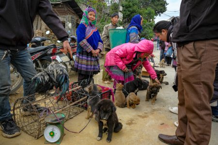 Téléchargez les photos : Bac Ha, Vietnam - 18 décembre 2022 : Une femme vend des chiens au marché de Bac Ha au Vietnam. - en image libre de droit