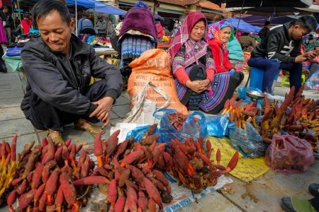 Téléchargez les photos : Bac Ha, Vietnam - 18 décembre 2022 : Personnes vendant des champignons sur le marché de Bac Ha au Vietnam. - en image libre de droit