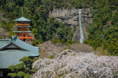 Photo for Nachikatsuura, Japan - March 19, 2023: Seigantoji Pagoda in Kumano Nachi Taisha is a Shinto shrine located in Nachikatsuura, Japan. - Royalty Free Image