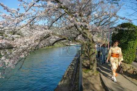Photo for Kyoto, Japan - March 28, 2023: A woman in a kimono walking along the Okazaki canal with cherry blossoms in Kyoto, Japan. - Royalty Free Image