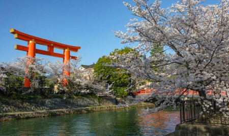 Photo for Kyoto, Japan - March 28, 2023: Views of the Okazaki canal with cherry blossoms and the Heian Jingu Shrine Grand Torii in Kyoto, Japan. - Royalty Free Image