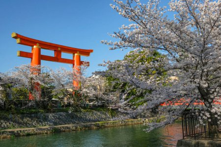 Téléchargez les photos : Kyoto, Japon - 28 mars 2023 : Vues sur le canal Okazaki avec des fleurs de cerisier et le sanctuaire Heian Jingu Grand Torii à Kyoto, Japon. - en image libre de droit