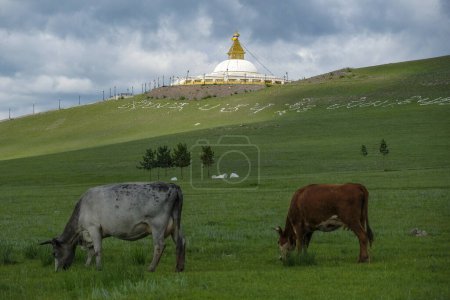 Foto de Erdenet, Mongolia - 18 de julio de 2023: Stupa en el Monasterio Amarbayasgalant en la provincia de Selenge, Erdenet, Mongolia. - Imagen libre de derechos