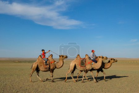Photo for Bulgan, Mongolia - July 28, 2023: Camels in the Flaming Cliffs in the Gobi Desert in Mongolia. - Royalty Free Image