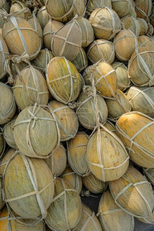 Foto de Detalle de algunos melones en el City Market de Fergana., Uzbekistán. - Imagen libre de derechos