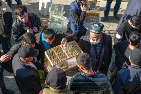 Photo for Istaravshan, Tajikistan - November 26, 2023: Bird sellers at the Istaravshan Central Market, Tajikistan. - Royalty Free Image