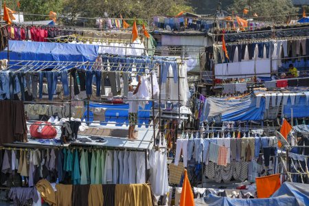 Téléchargez les photos : Mumbai, Inde - 3 mars 2024 : Un homme travaillant à Mahalaxmi Dhobi Ghat, la plus grande blanchisserie en plein air de Mumbai, Inde. - en image libre de droit