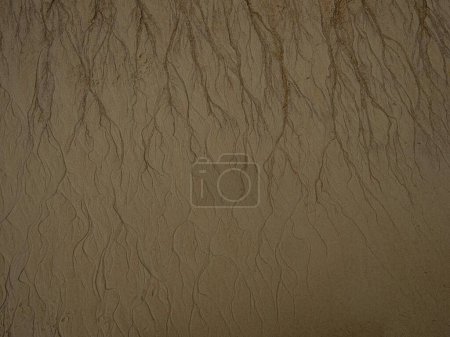 Téléchargez les photos : Top down close up macro of braided intertwined meandering water stream flow on sand beach in Abel Tasman National Park South Island New Zealand - en image libre de droit