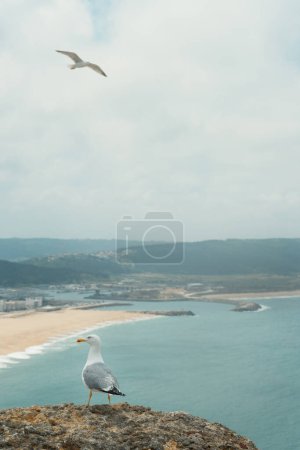 Vertikale Aufnahme einer Möwe auf einem Felsen mit einer weiteren Möwe, die über den Strand von Nazare in Portugal fliegt.