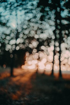 Photo for Bokeh in the forest at sunset with brightly colored yellows and blues. Abstract background with bokeh. - Royalty Free Image