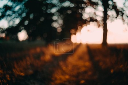 Téléchargez les photos : Bokeh dans la forêt au coucher du soleil avec des jaunes et des bleus aux couleurs vives. Fond abstrait avec bokeh. - en image libre de droit