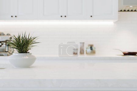 Photo for Modern white kitchen countertop with indoor plants and advertising space mounting your product on a blurred kitchen space in the background. 3D rendering. - Royalty Free Image